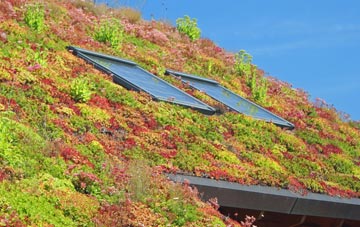 Cullybackey living roof systems