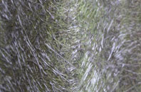 Cullybackey fibreglass roof work